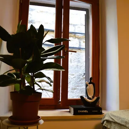 Antonio * 스플리트